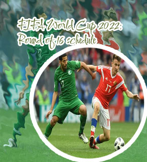 World cup football match